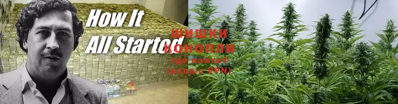 закладка  Микунь  Шишки марихуана SATIVA & INDICA 